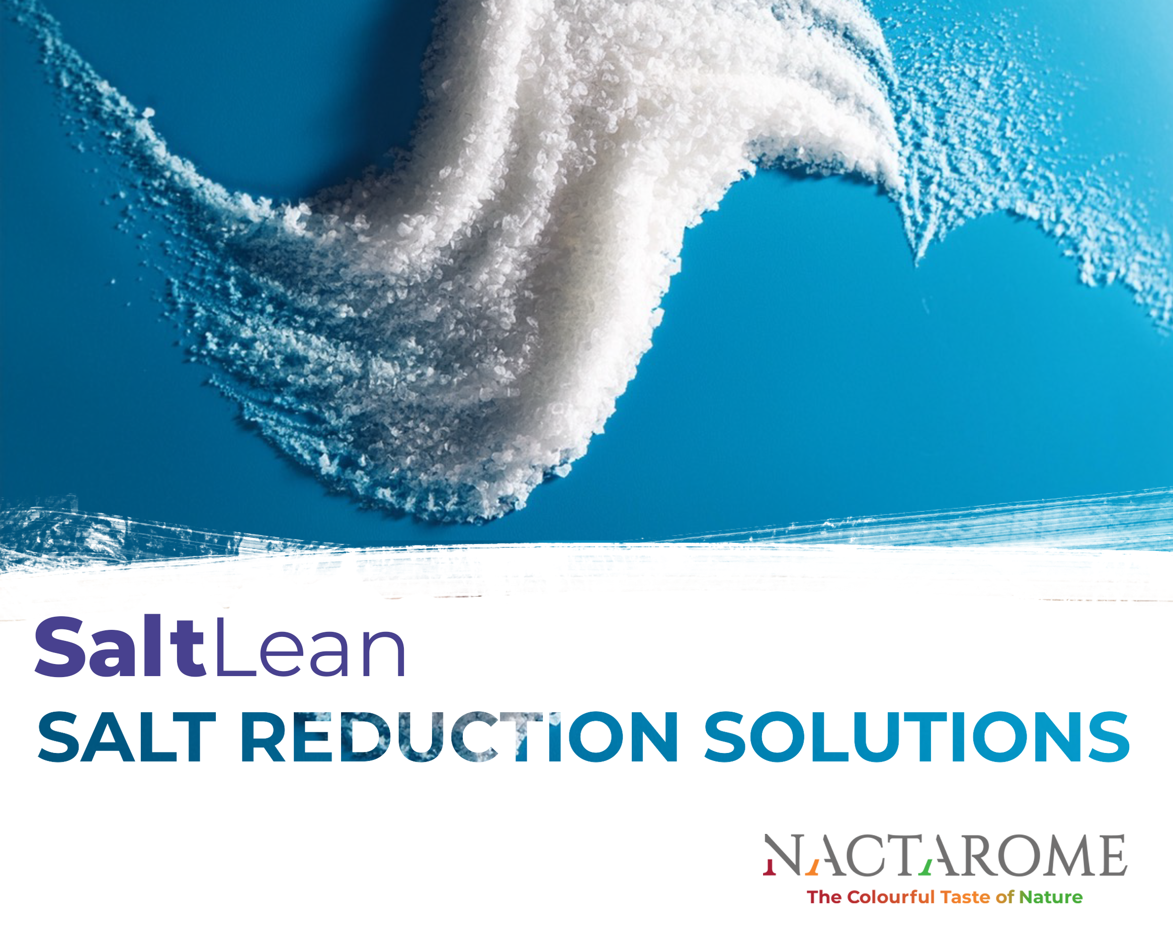 SaltLean: smart solutions for reducing salt without compromising taste